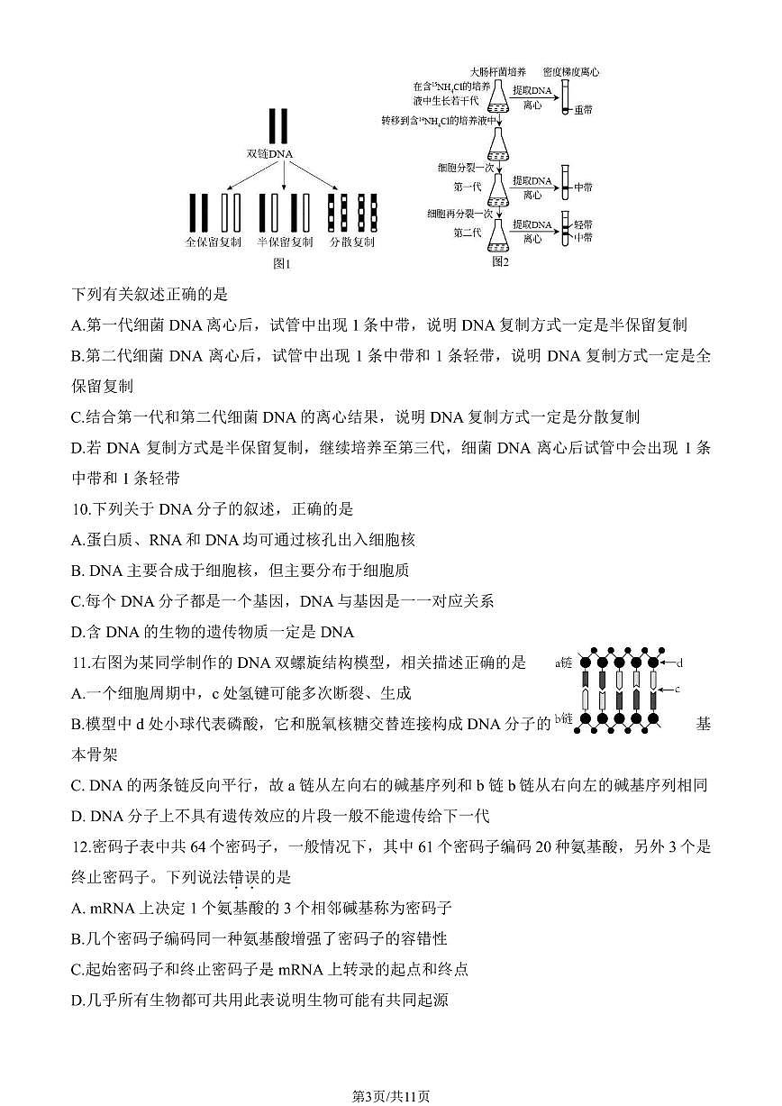 2025北京和平街一中高一(下)期中真题生物试卷(教师版)第3页