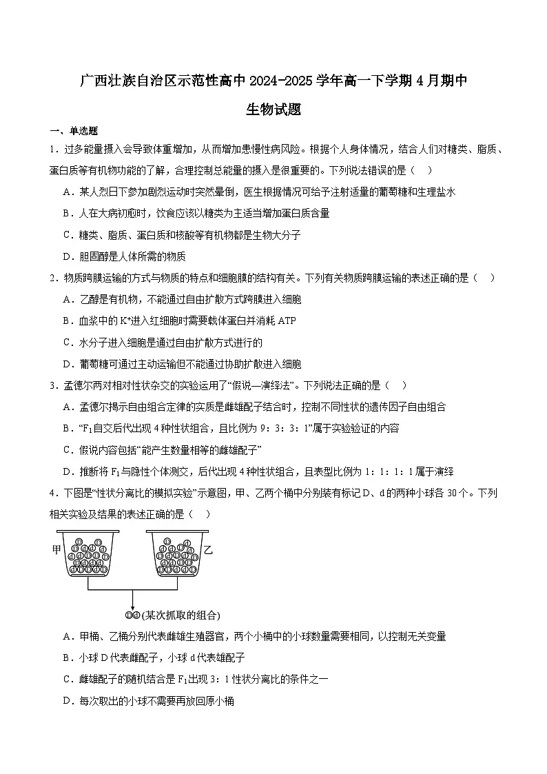 广西示范性高中2024-2025学年高一下学期4月期中考试 生物 含答案第1页