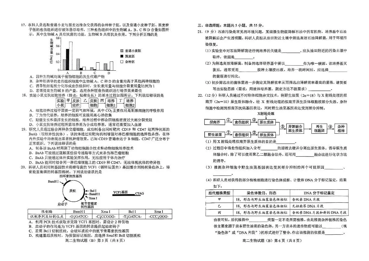 山东省菏泽市2024-2025学年高二下学期4月期中考试 生物(B) PDF版含答案第3页