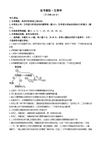 甘肃省白银市靖远县第一中学2024-2025学年高三上学期11月月考 生物试题（含答案）