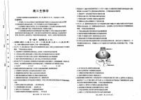 广东省部分高中学校2024-2025学年高三上学期11月期中考试 生物试题（含答案）