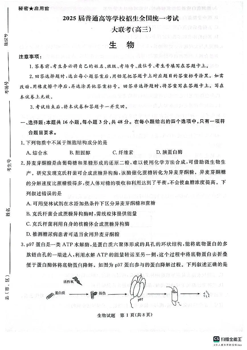 河南省部分重点高中青桐鸣大联考2024-2025学年高三上学期11月月考 生物试题(含答案)第1页