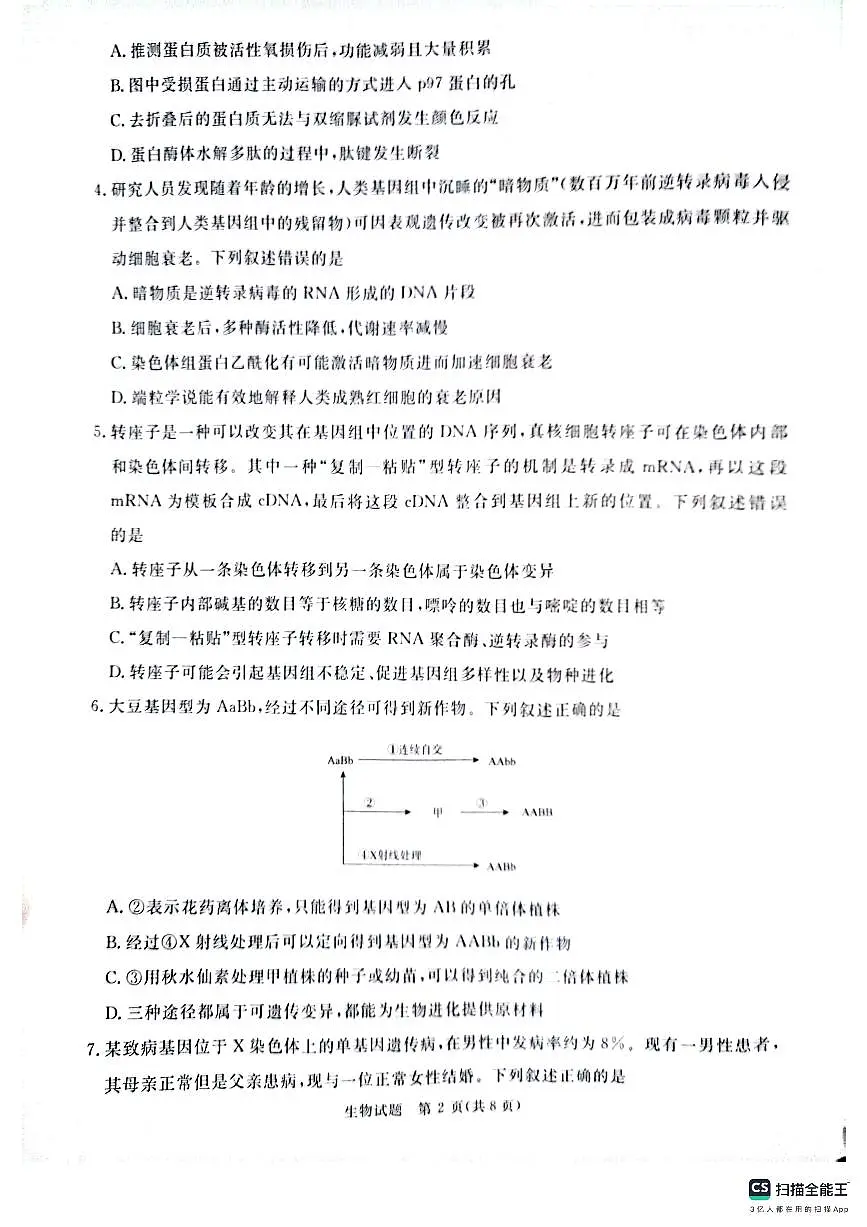 河南省部分重点高中青桐鸣大联考2024-2025学年高三上学期11月月考 生物试题(含答案)第2页