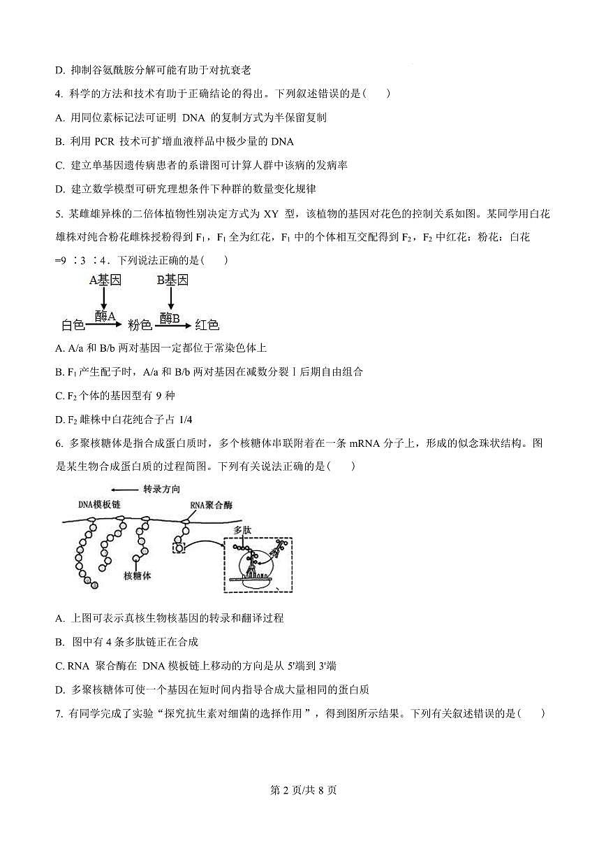 云南师范大学附属中学2025届高三高考适应性月考卷(四)生物试题(含答案)第2页