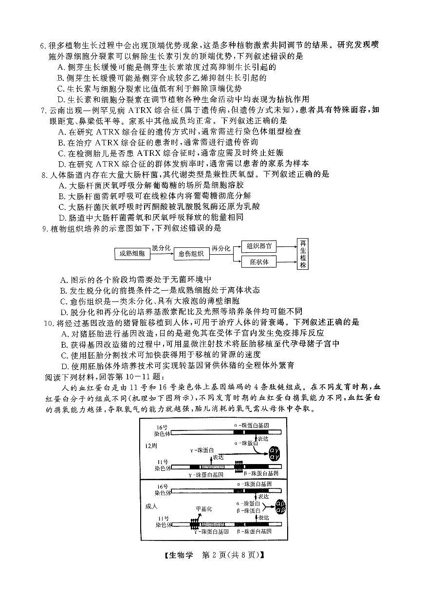 浙江强基联盟2024年10月高三联考 生物试卷(含答案)第2页