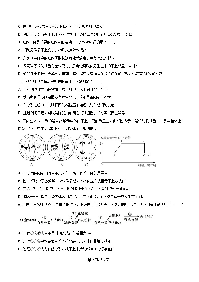 湖北省武汉市部分重点中学2024-2025学年高一下学期4月期中联考生物试卷(原卷版)第2页