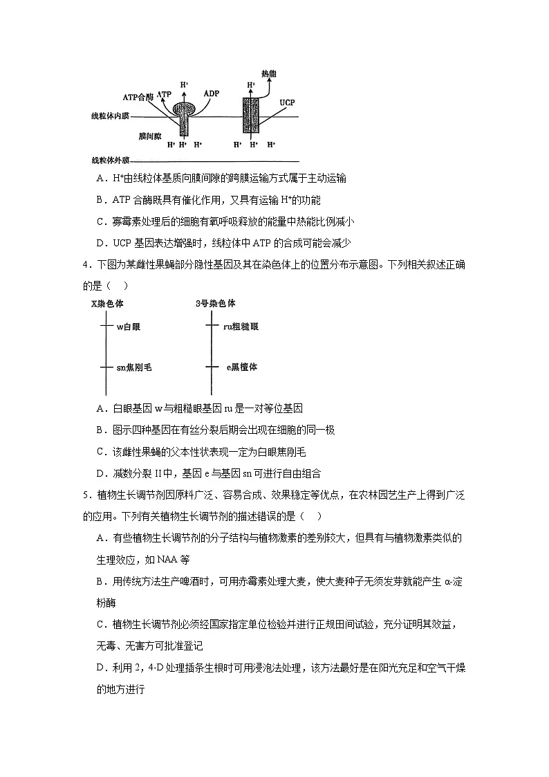 2025届山西省临汾市高三考前适应性训练考试((三)生物试题(无答案)第2页