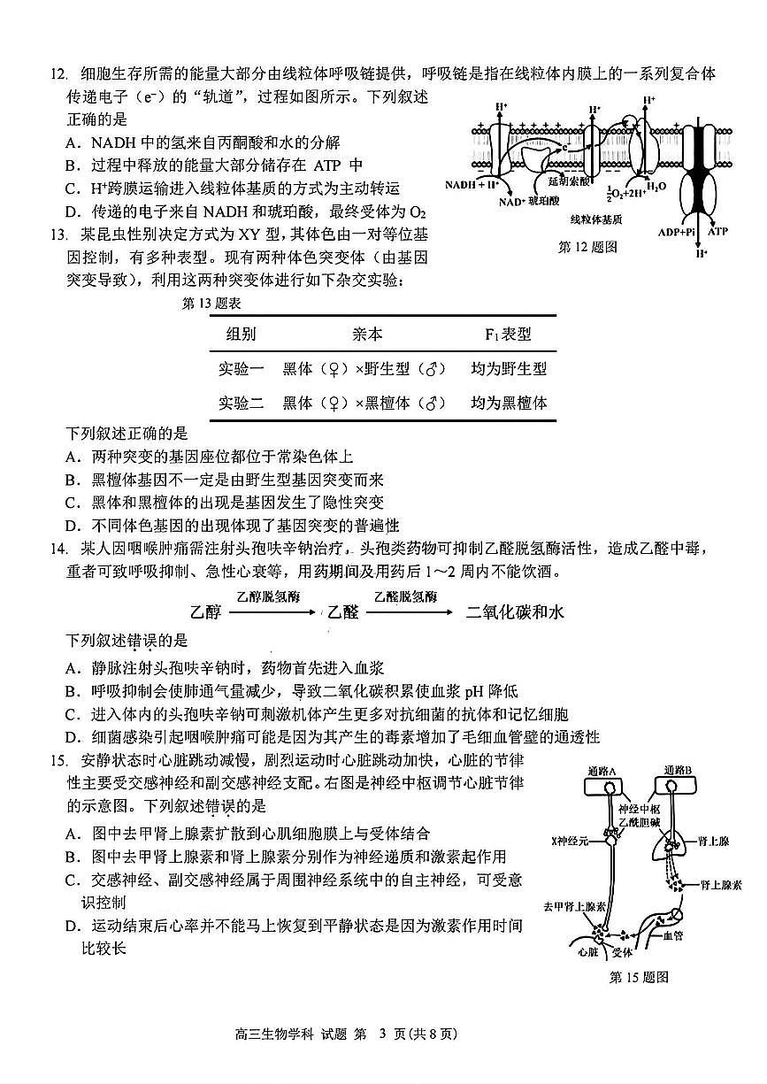 浙南名校联盟2025届高三第一次联考试题 生物试卷(含答案)第3页
