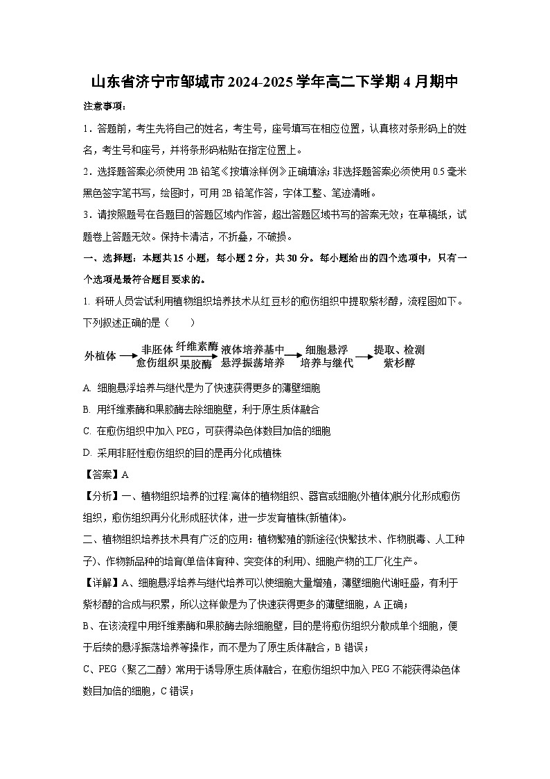 山东省济宁市邹城市2024-2025学年高二下学期4月期中生物(解析版)第1页