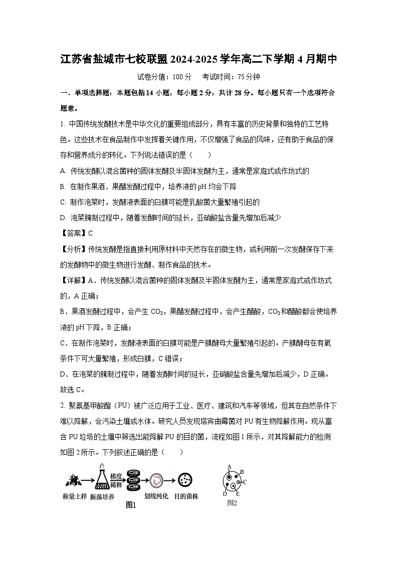 江苏省盐城市七校联盟2024-2025学年高二下学期4月期中生物(解析版)第1页