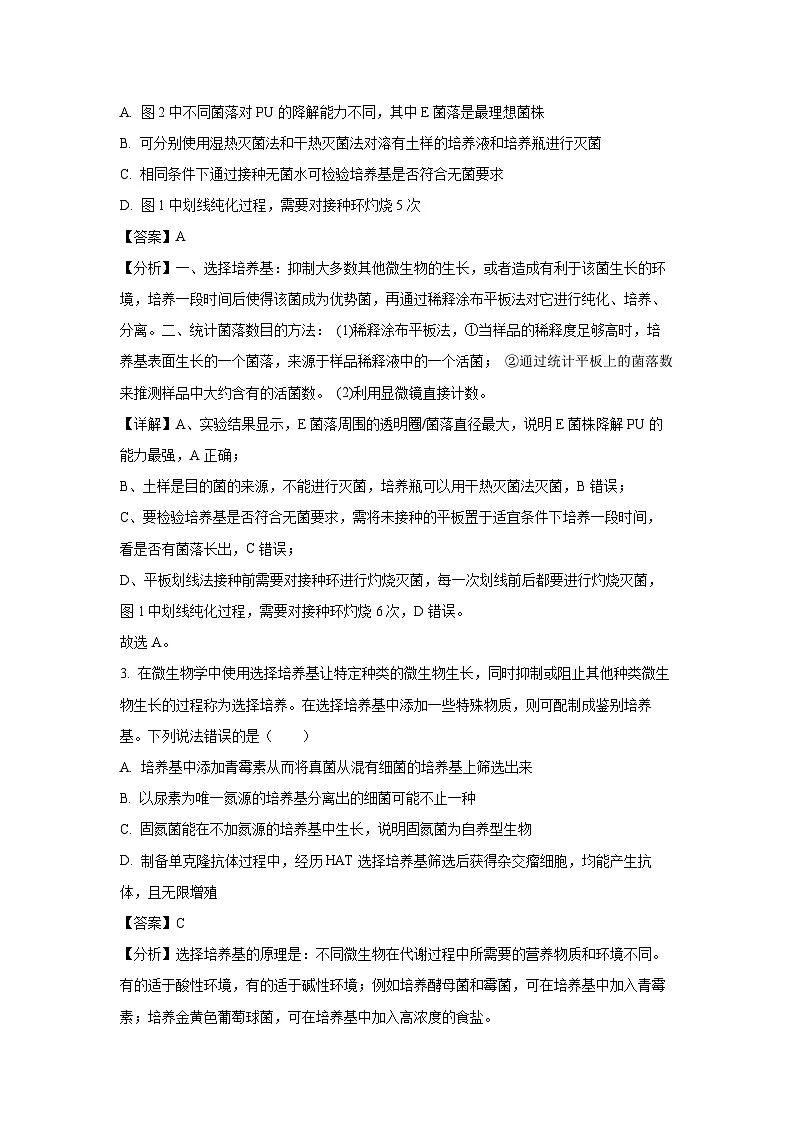 江苏省盐城市七校联盟2024-2025学年高二下学期4月期中生物(解析版)第2页