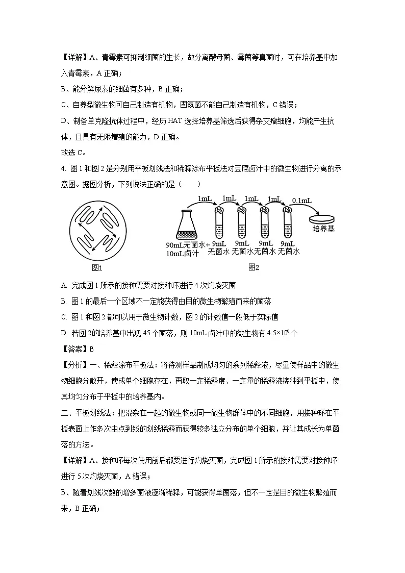 江苏省盐城市七校联盟2024-2025学年高二下学期4月期中生物(解析版)第3页