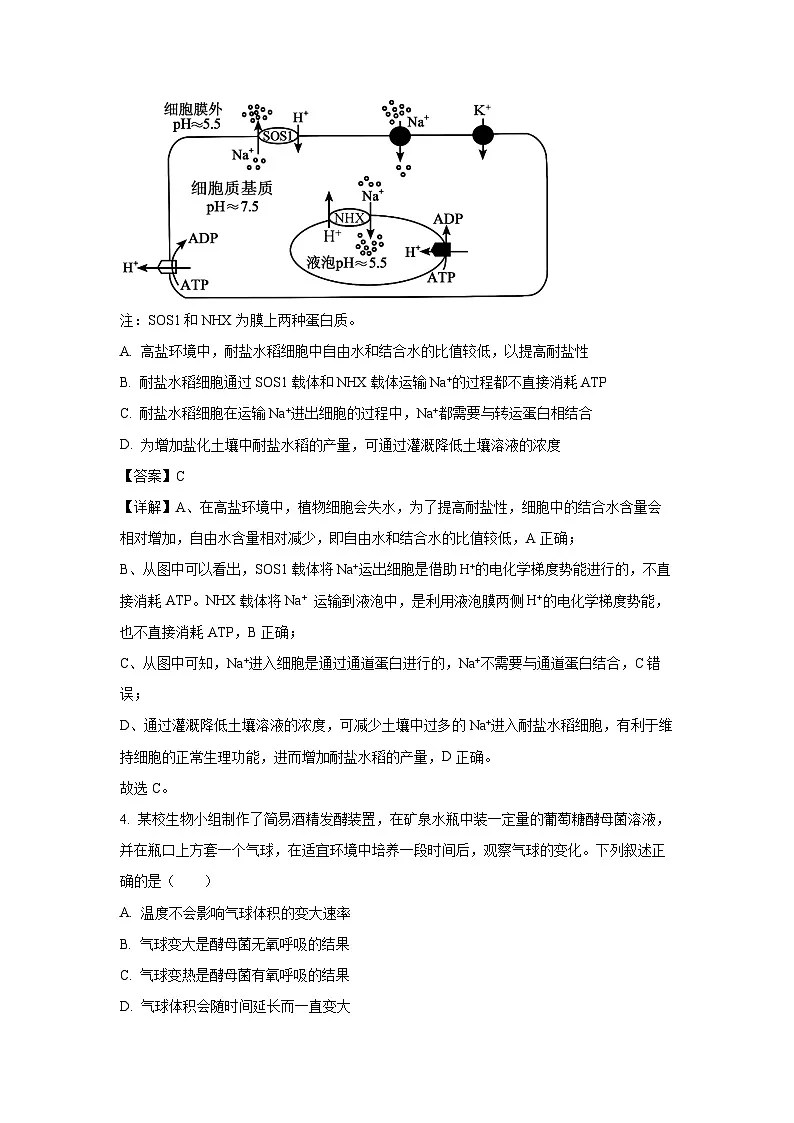 湖南省湘一名校联盟2024-2025学年高一下学期3月联考生物试题(解析版)第3页