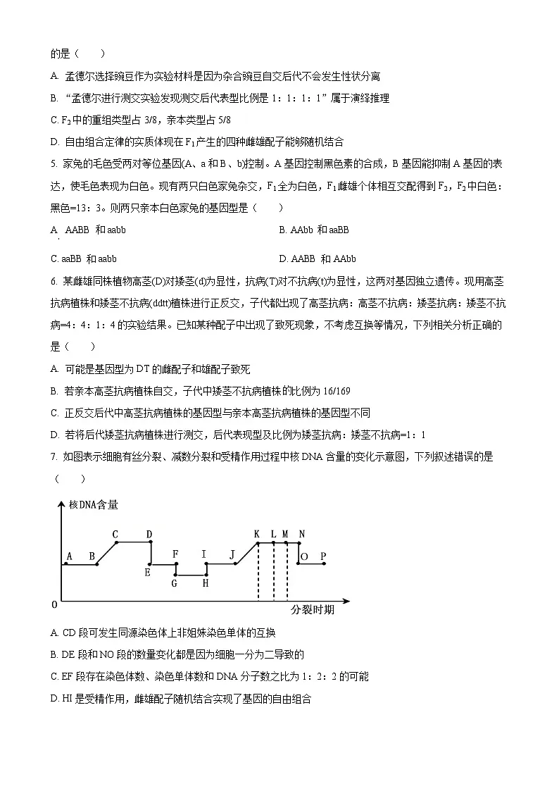 山东省名校联盟2024-2025学年高一下学期3月校际联考生物试题(原卷版+解析版)第2页