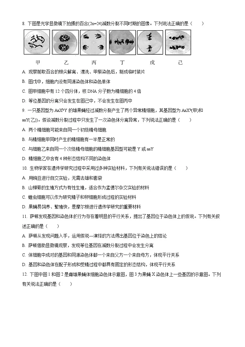 山东省名校联盟2024-2025学年高一下学期3月校际联考生物试题(原卷版+解析版)第3页