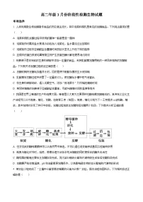 山东省平原县第一中学2024-2025学年高二下学期3月月考生物试题（原卷版+解析版）