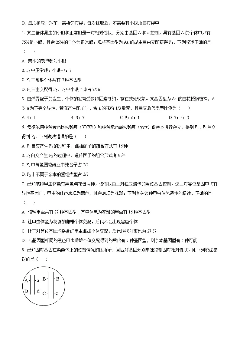 山东省泰安一中新校2024-2025学年高一下学期3月月考生物试题(原卷版+解析版)第2页