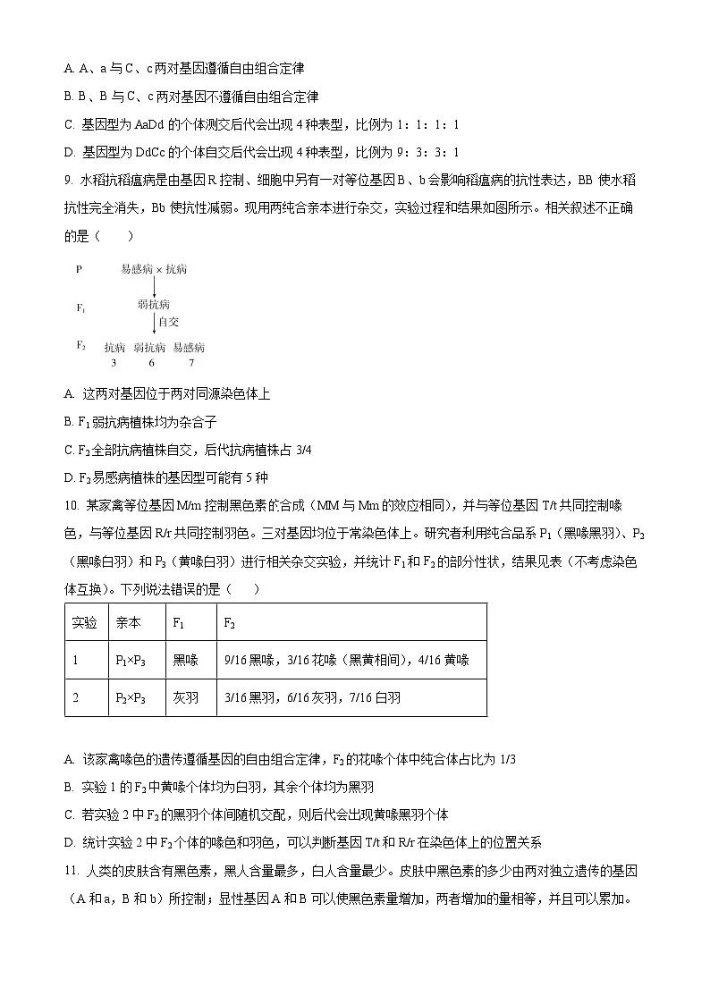 山东省泰安一中新校2024-2025学年高一下学期3月月考生物试题(原卷版+解析版)第3页