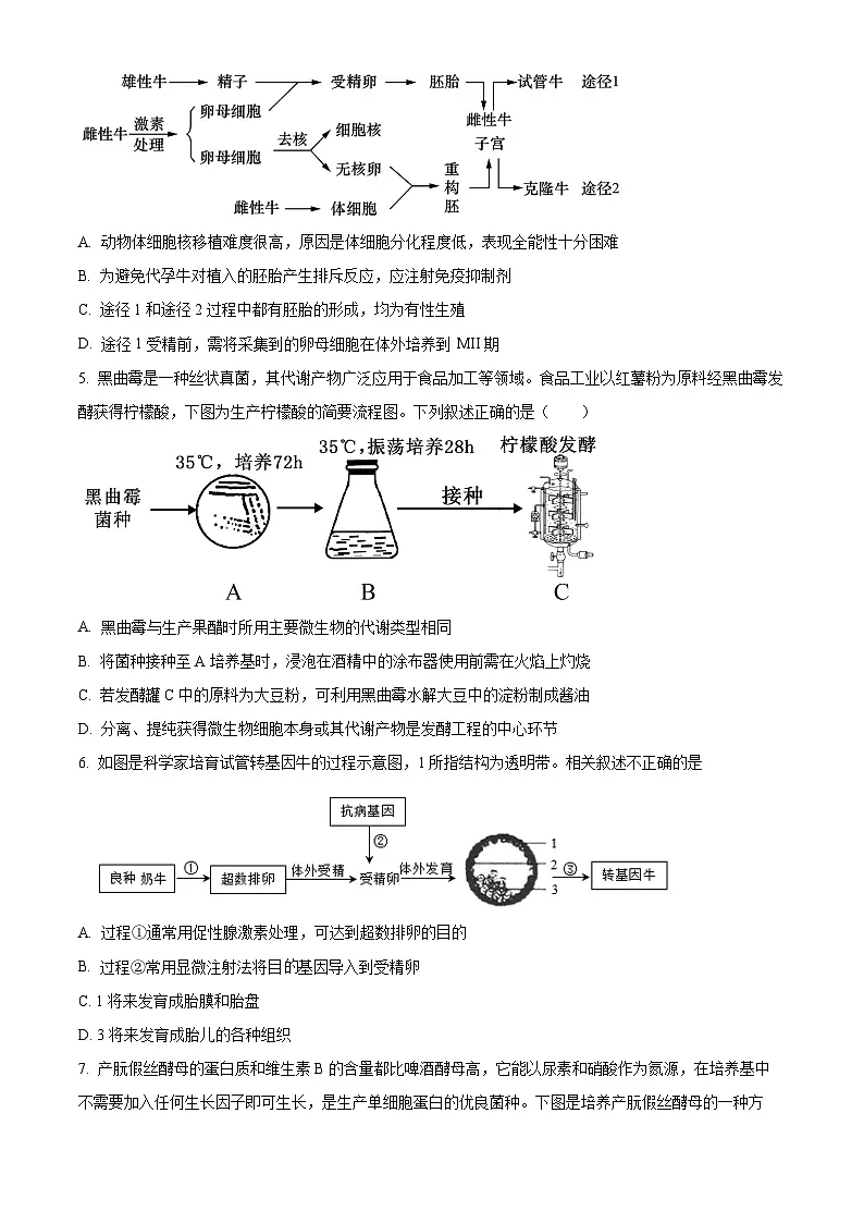 山东省泰安市新泰一中老校区(新泰中学)2024-2025学年高二下学期第一次月考生物试题(原卷版+解析版)第2页