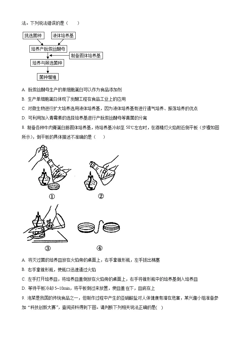 山东省泰安市新泰一中老校区(新泰中学)2024-2025学年高二下学期第一次月考生物试题(原卷版+解析版)第3页