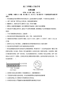 山东省枣庄市滕州市第一中学2024-2025学年高二下学期3月月考生物试题（原卷版+解析版）