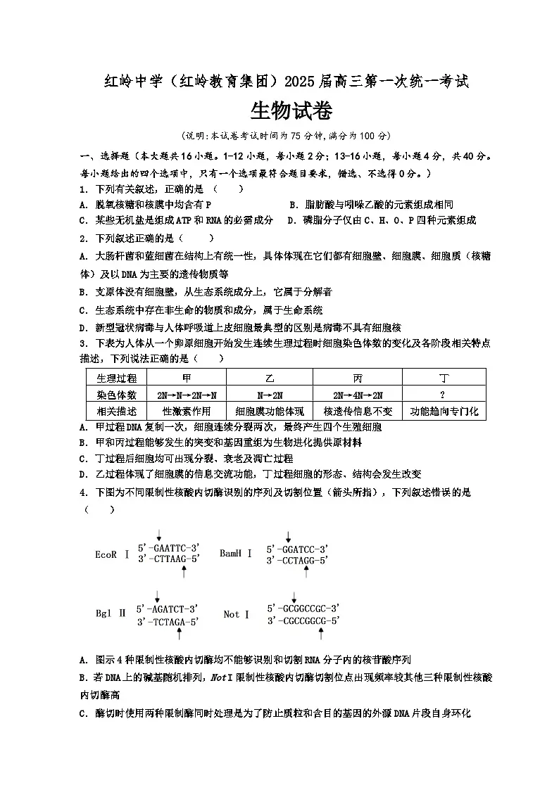 广东省深圳市福田区红岭中学2024-2025学年高三上学期第一次月考生物试题第1页