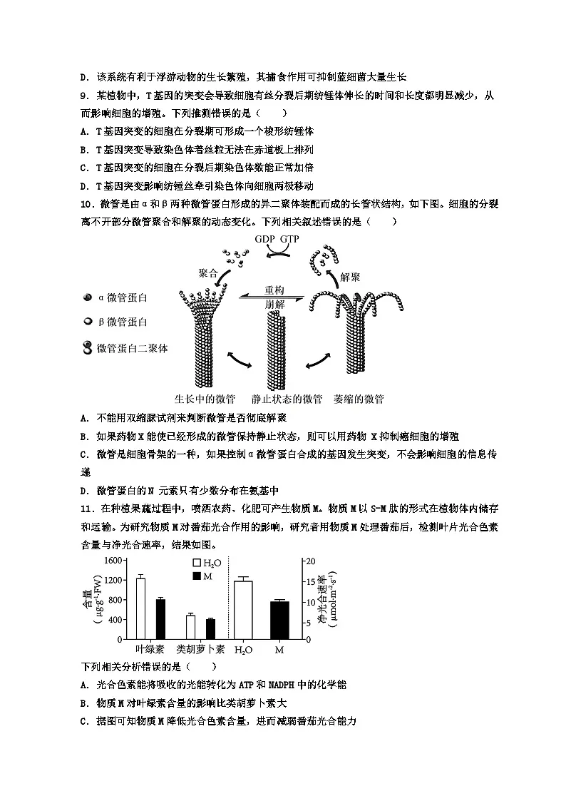 广东省深圳市福田区红岭中学2024-2025学年高三上学期第一次月考生物试题第3页