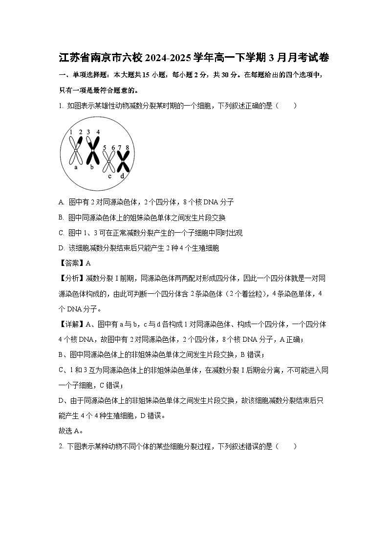江苏省南京市六校2024-2025学年高一下学期3月月考生物试卷(解析版)第1页