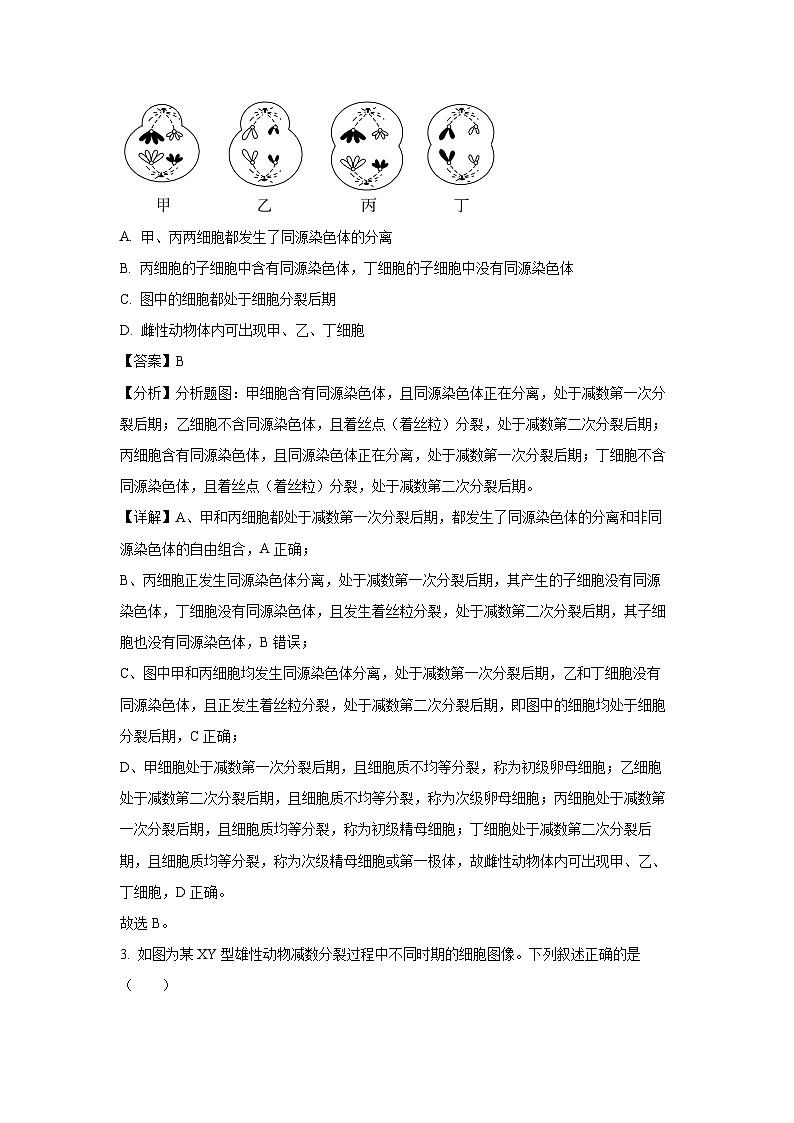 江苏省南京市六校2024-2025学年高一下学期3月月考生物试卷(解析版)第2页