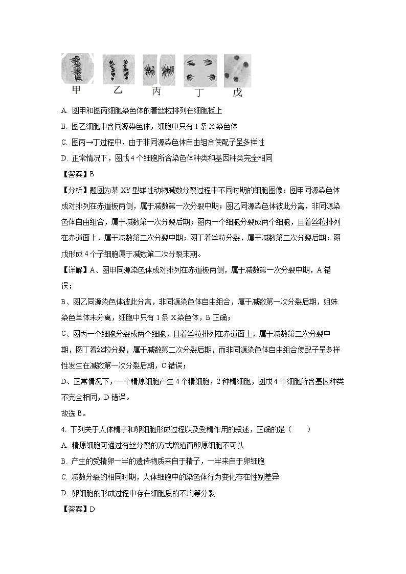江苏省南京市六校2024-2025学年高一下学期3月月考生物试卷(解析版)第3页