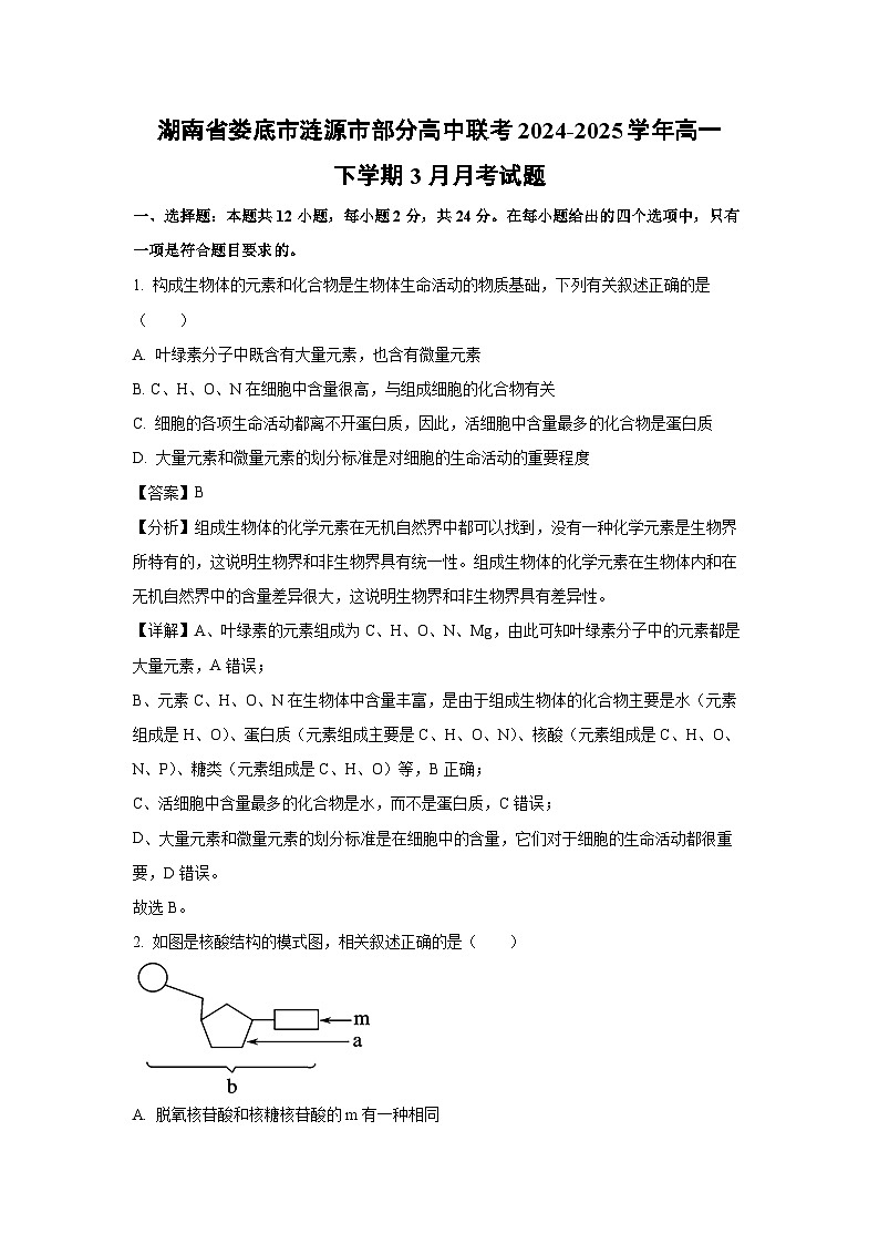 湖南省娄底市涟源市部分高中联考2024-2025学年高一下学期3月月考生物试题(解析版)第1页