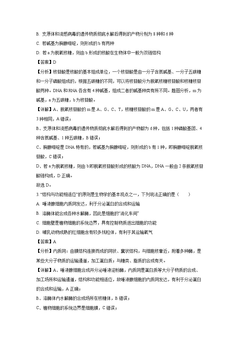 湖南省娄底市涟源市部分高中联考2024-2025学年高一下学期3月月考生物试题(解析版)第2页