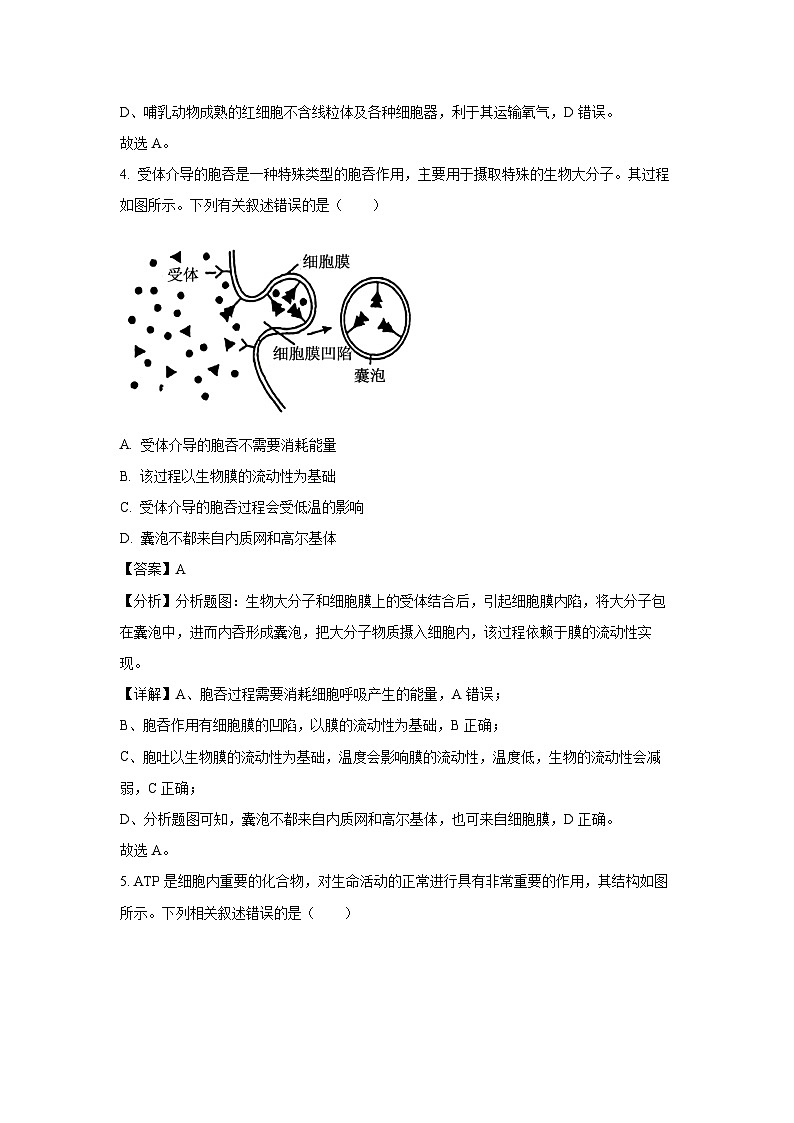 湖南省娄底市涟源市部分高中联考2024-2025学年高一下学期3月月考生物试题(解析版)第3页