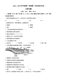 陕西省柞水中学2024-2025学年高一下学期3月月考生物试题（原卷版+解析版）