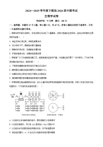 四川省成都市七中2024-2025学年高二下学期期中生物试卷（原卷版+解析版）