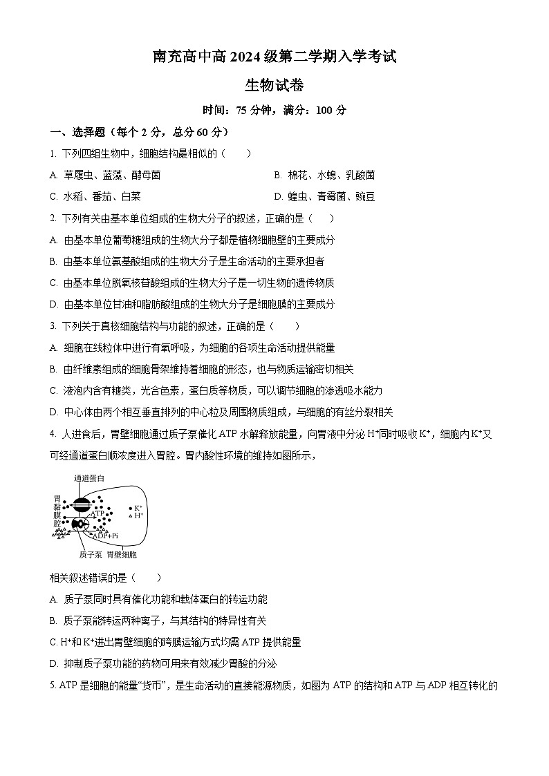 四川省南充高級(jí)中學(xué)2024-2025學(xué)年高一下學(xué)期開學(xué)考試生物試題（原卷版+解析版）第1頁