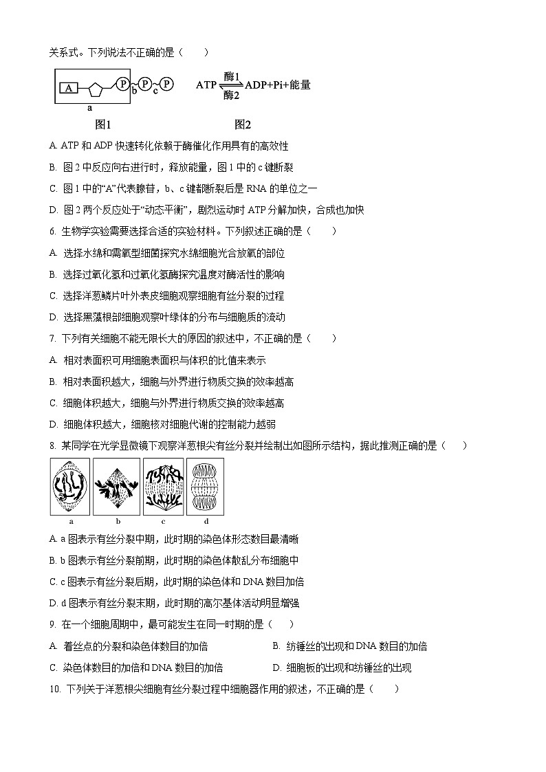 四川省南充高級(jí)中學(xué)2024-2025學(xué)年高一下學(xué)期開學(xué)考試生物試題(原卷版+解析版)第2頁