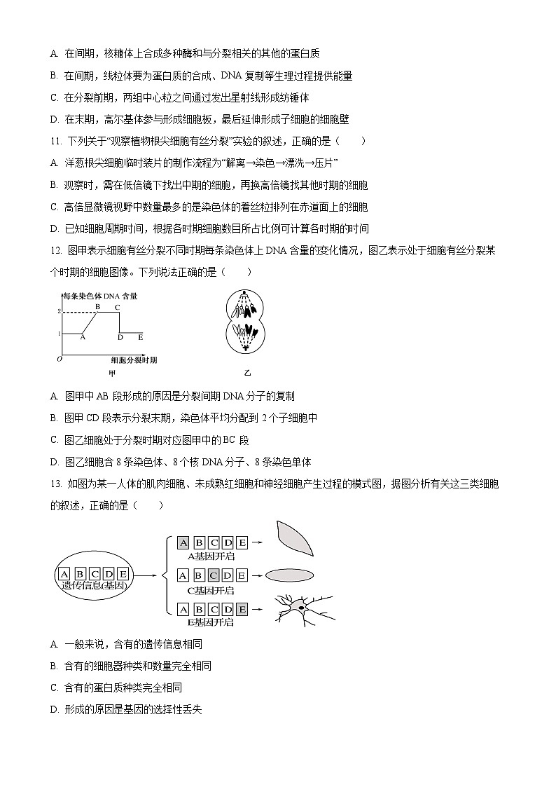 四川省南充高級(jí)中學(xué)2024-2025學(xué)年高一下學(xué)期開學(xué)考試生物試題(原卷版+解析版)第3頁