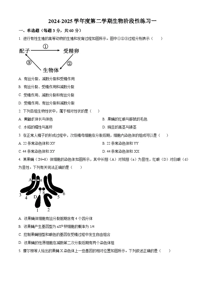 天津市河西区天津市第四十一中学2024-2025学年高一下学期3月月考生物试题(原卷版+解析版)第1页