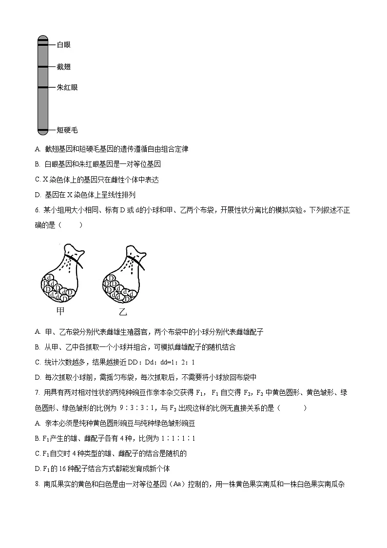 天津市河西区天津市第四十一中学2024-2025学年高一下学期3月月考生物试题(原卷版+解析版)第2页