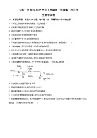 云南省玉溪市一中2024-2025学年高一下学期3月月考生物试题（原卷版+解析版）