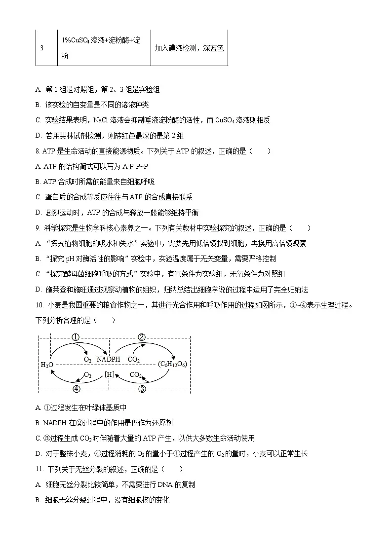 重庆市部分学校2024-2025学年高一下学期3月联考生物试题(原卷版+解析版)第3页