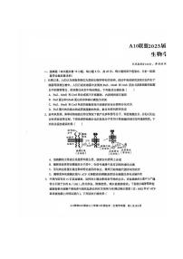 安徽省A10联盟2024—2025学年高三上学期12月联考 生物试卷（含答案）