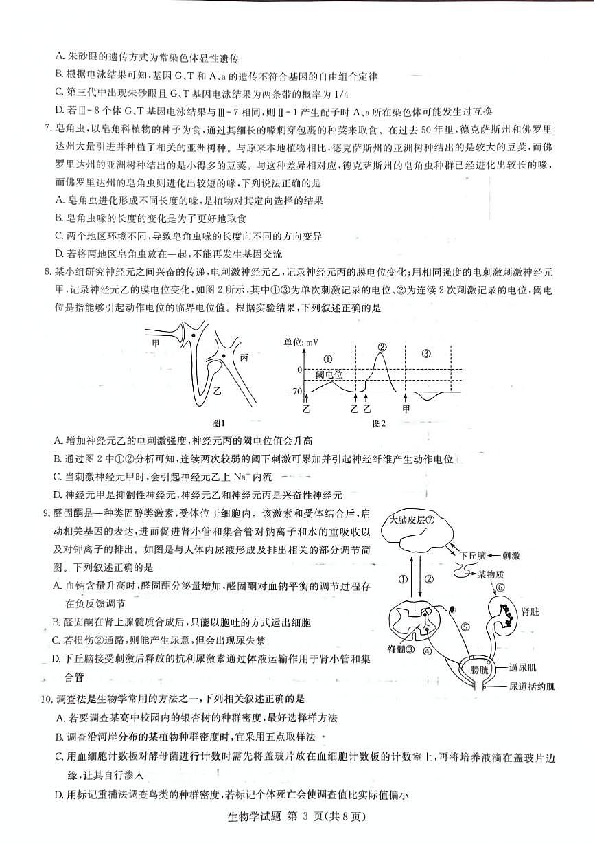 2025届湖南省高三上学期九校联盟第一次联考 生物试卷(含答案)第3页