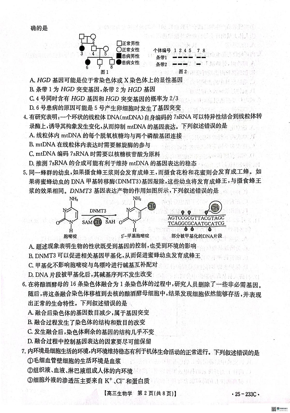河北省邢台市质检联盟2024-2025学年高三上学期第三次月考 生物试卷(含答案)第2页