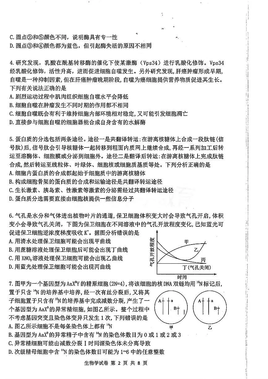 湖北省腾云联盟2024-2025学年高三上学期12月联考 生物试卷(含答案)第2页
