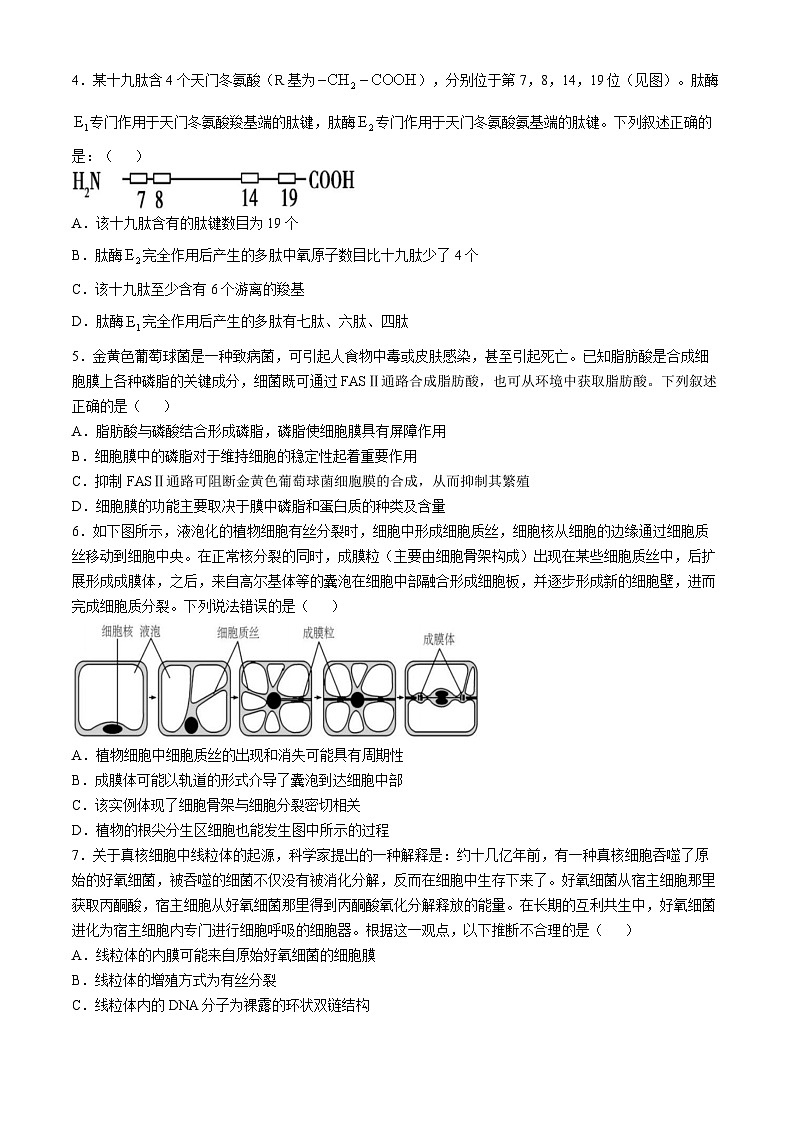 吉林省“BEST”合作体六校2024-2025学年高三上学期第三次联考生物试卷(含答案)第2页