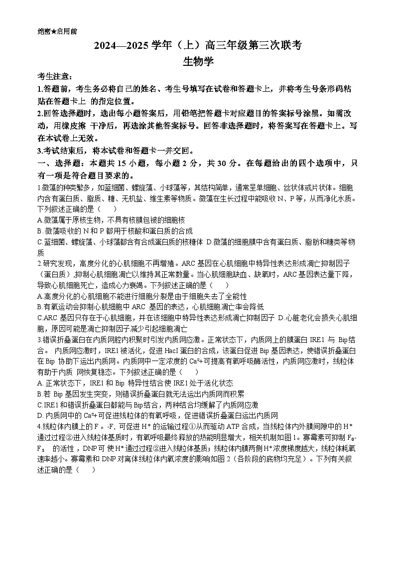 山东省齐鲁名校联盟大联考2024-2025学年高三上学期12月月考 生物试题(含答案)第1页