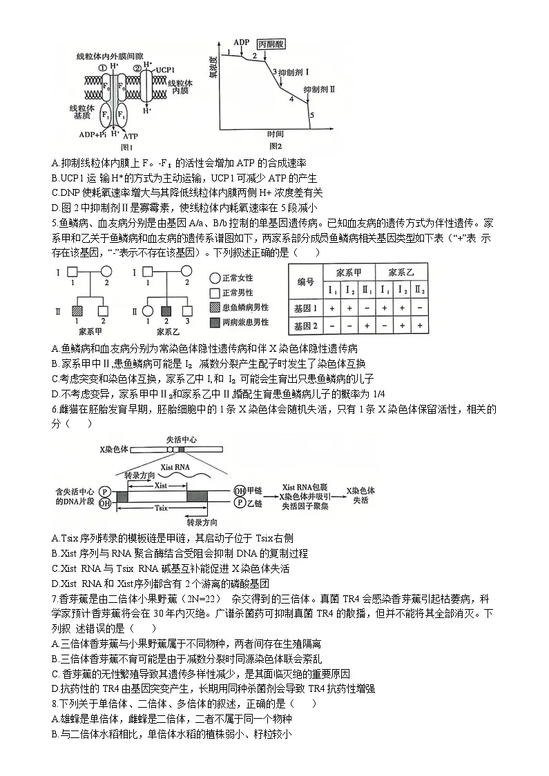 山东省齐鲁名校联盟大联考2024-2025学年高三上学期12月月考 生物试题(含答案)第2页