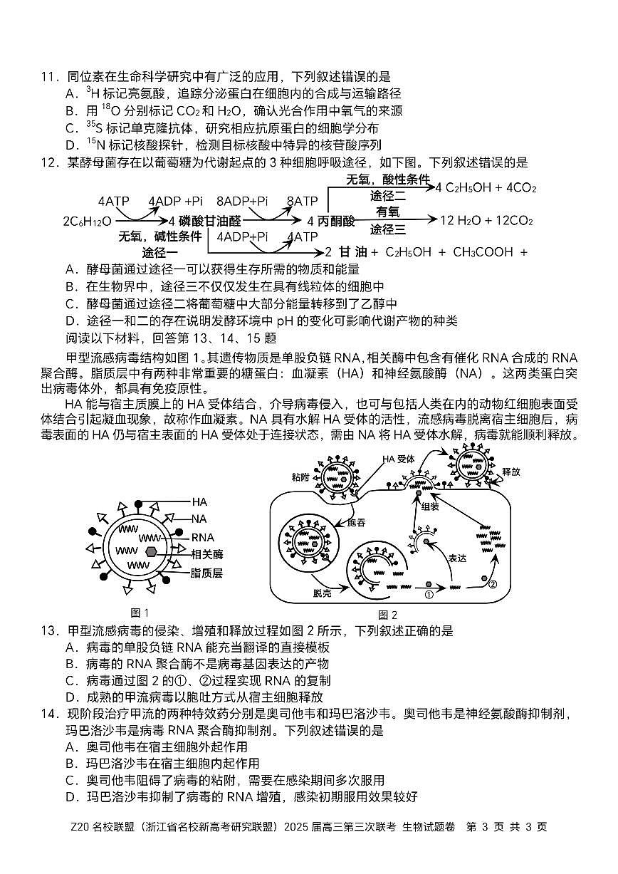 浙江省Z20名校联盟2025届高三高考模拟第三次联考-生物试题+答案第3页